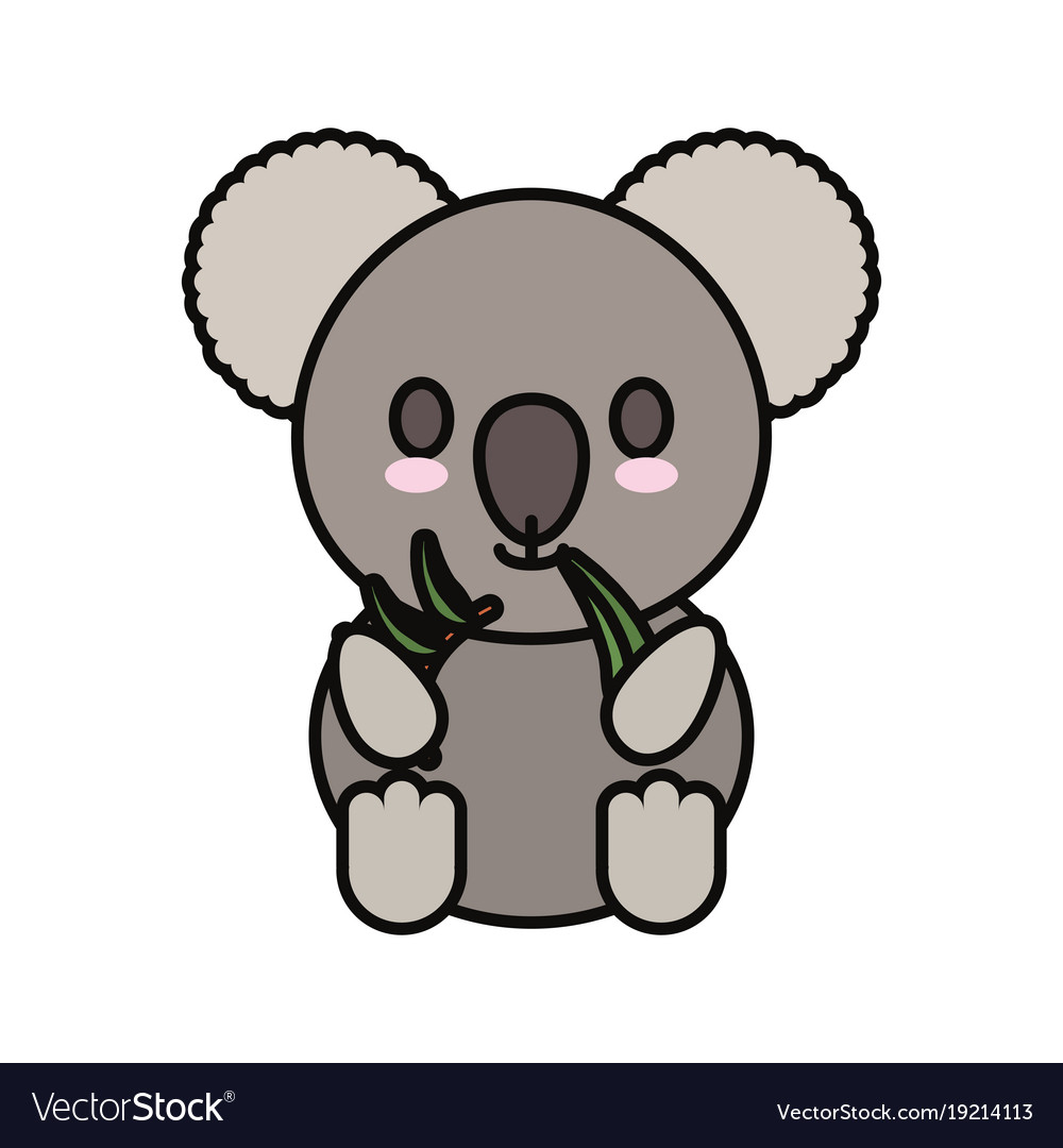 Koala eucalyptus leaves Royalty Free Vector Image