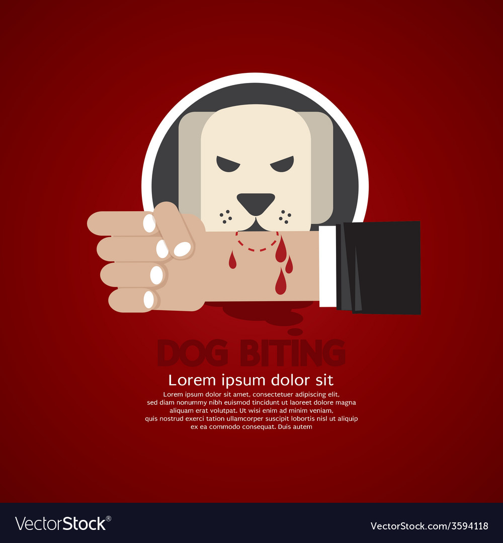 dog-biting-on-hand-royalty-free-vector-image-vectorstock