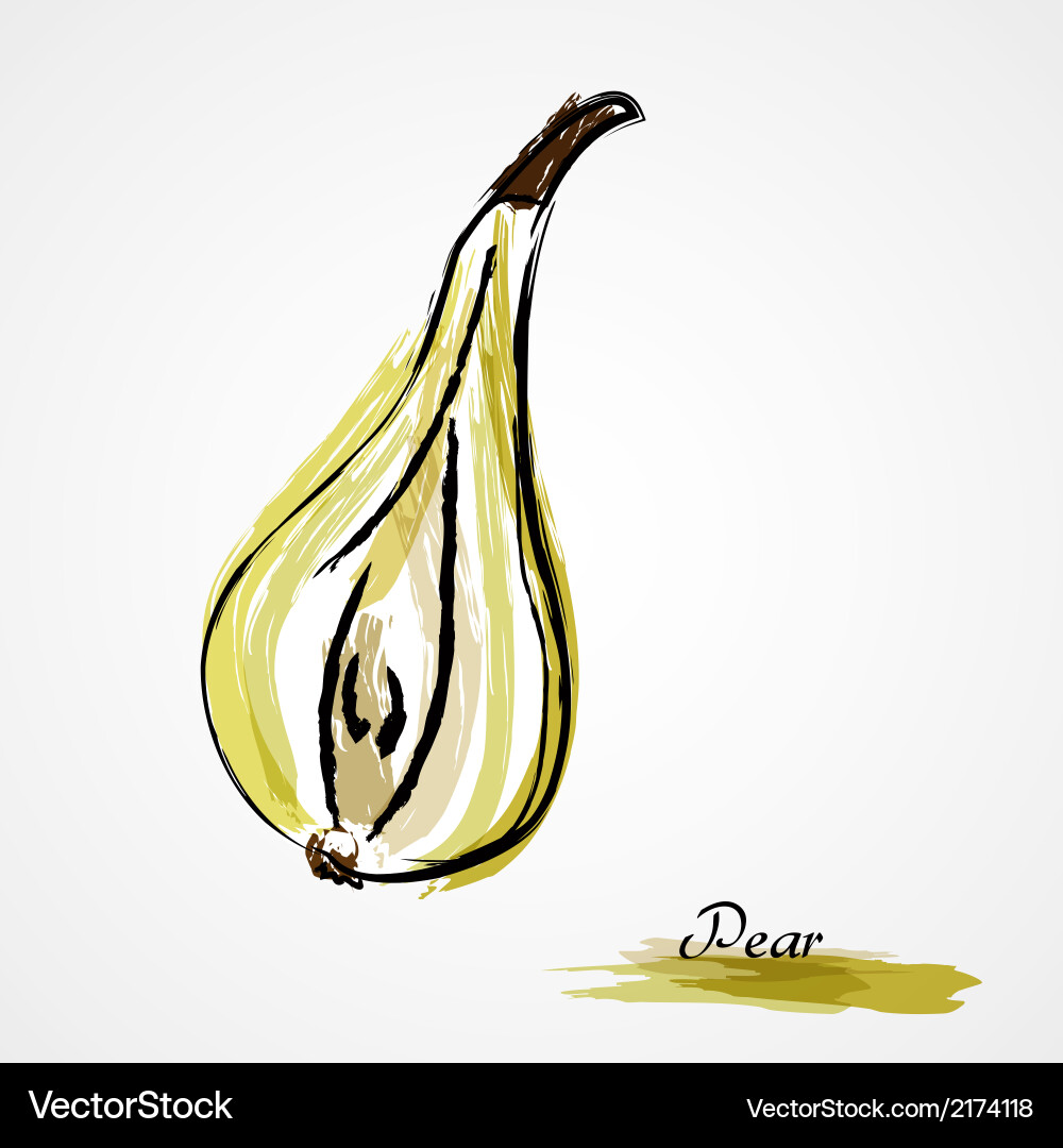 Pear Royalty Free Vector Image - VectorStock