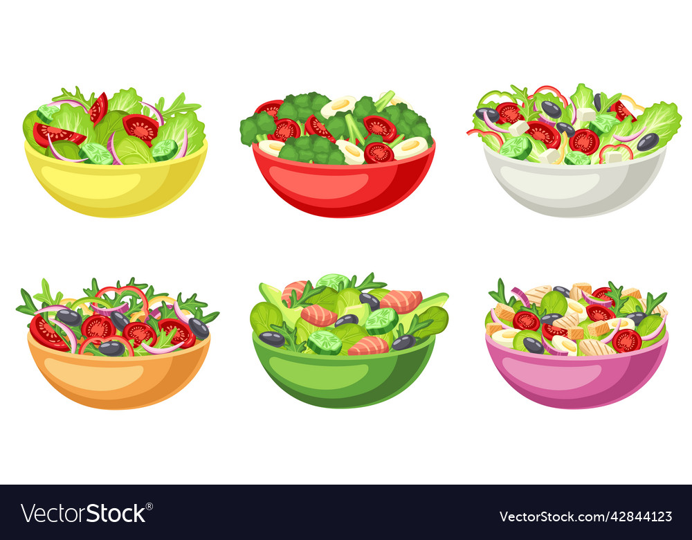 Cartoon salad bowl healthy food chopped raw Vector Image