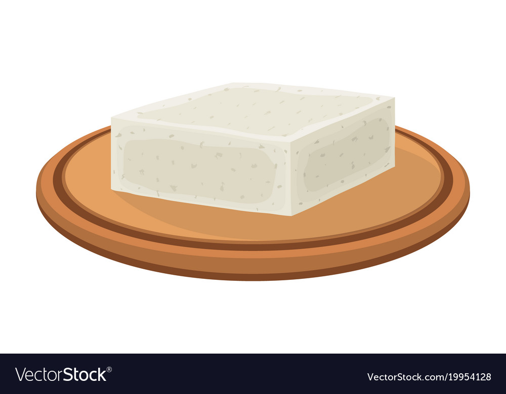 Feta cheese on plate cartoon flat style