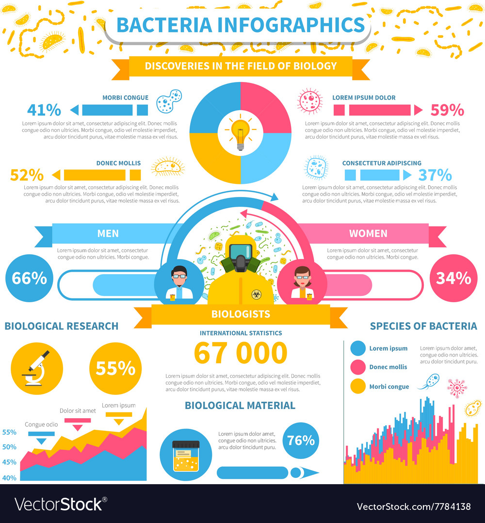 Bacteria infographics set Royalty Free Vector Image