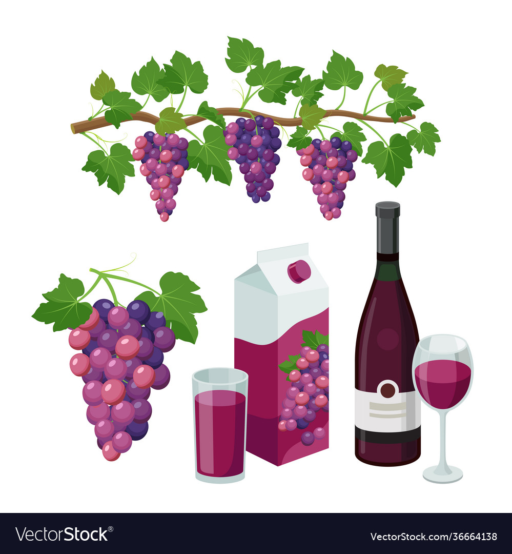 Grape product isolated Royalty Free Vector Image