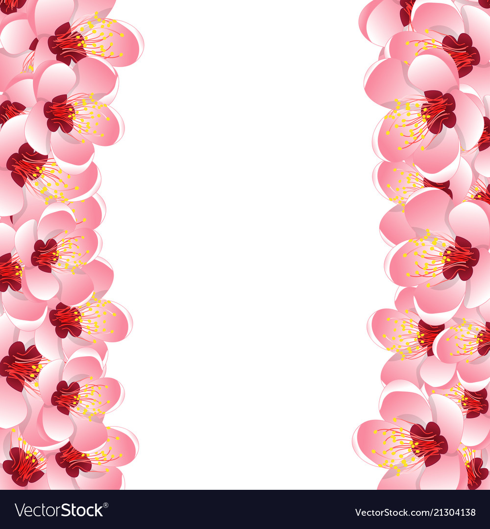 Floral Frame Background Royalty Free Vector Image