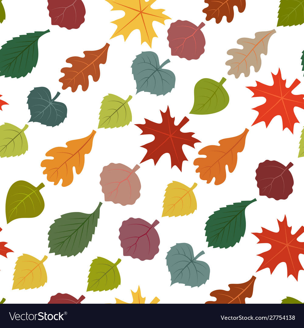 Seamless pattern autumn leaves maple elm