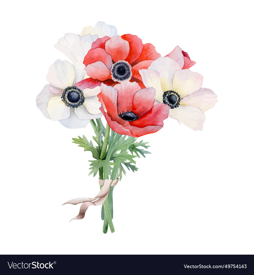 Brides bouquet of white and red anemone flowers