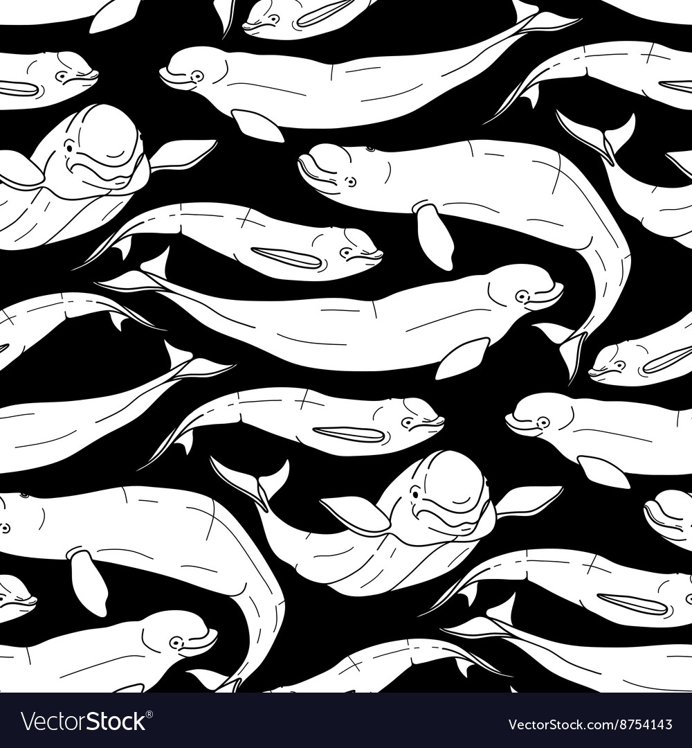 Graphic beluga whale pattern Royalty Free Vector Image