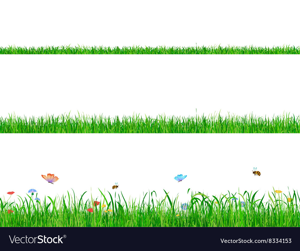 Green grass banner collections with flowers Vector Image