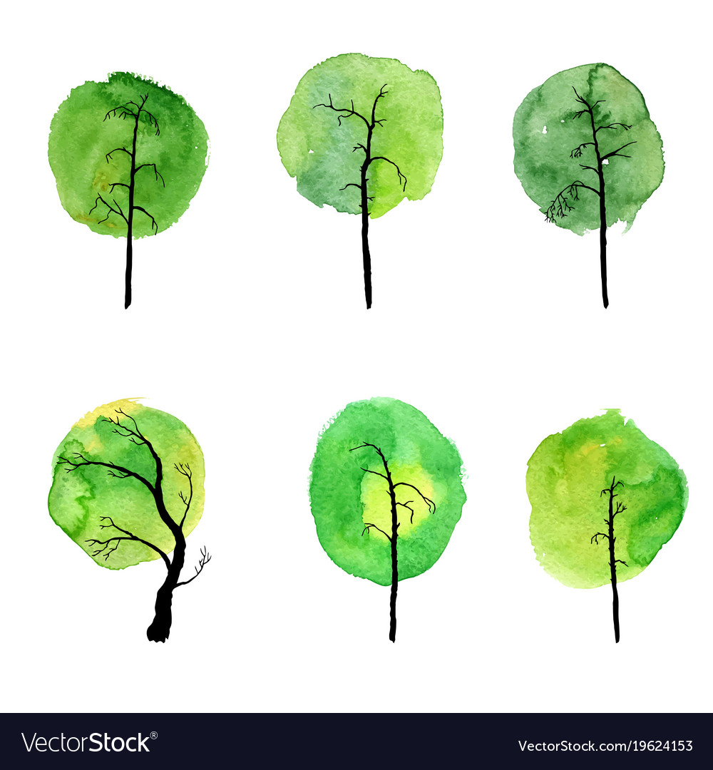 Set of deciduous trees Royalty Free Vector Image