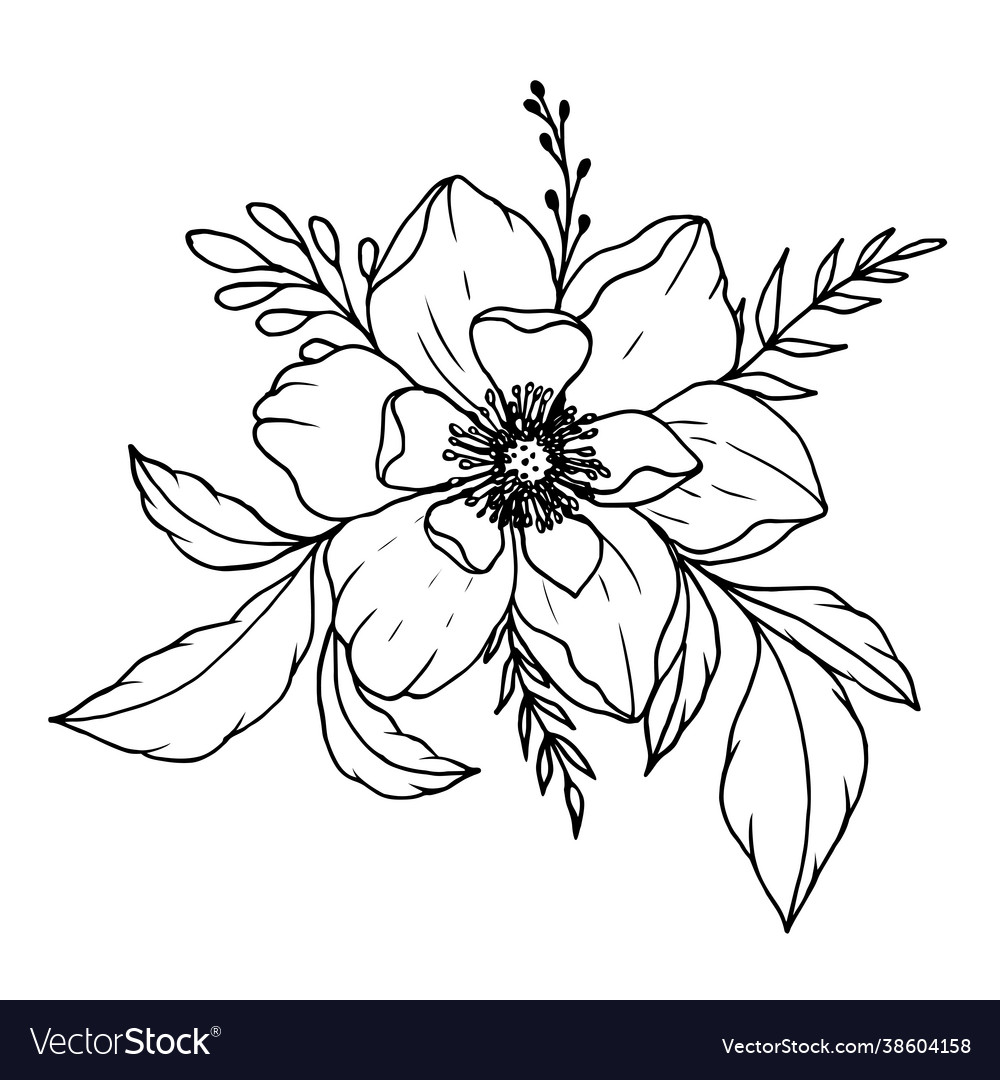 Floral arrangement flowers for decorating Vector Image