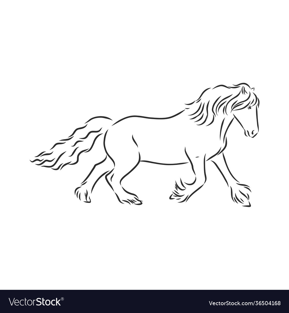 Horse - black and white outline beautiful