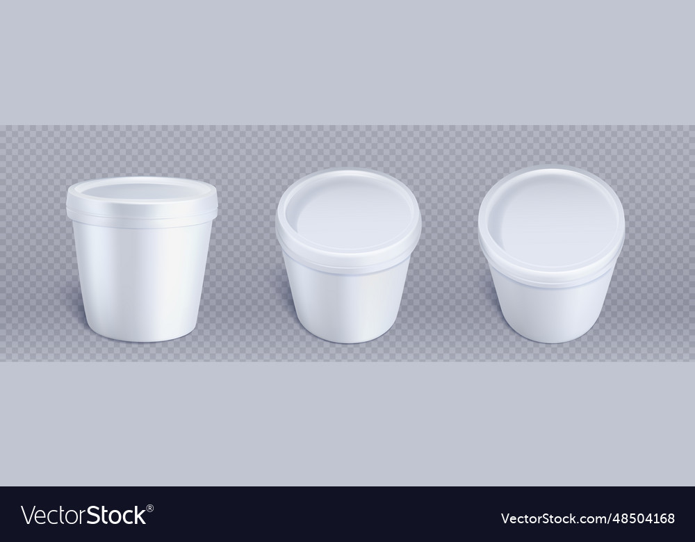 Ice cream package white plastic container Vector Image