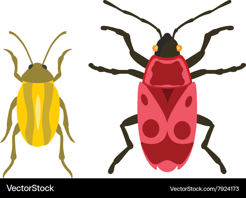 Beetle flat insect bug in cartoon style Royalty Free Vector