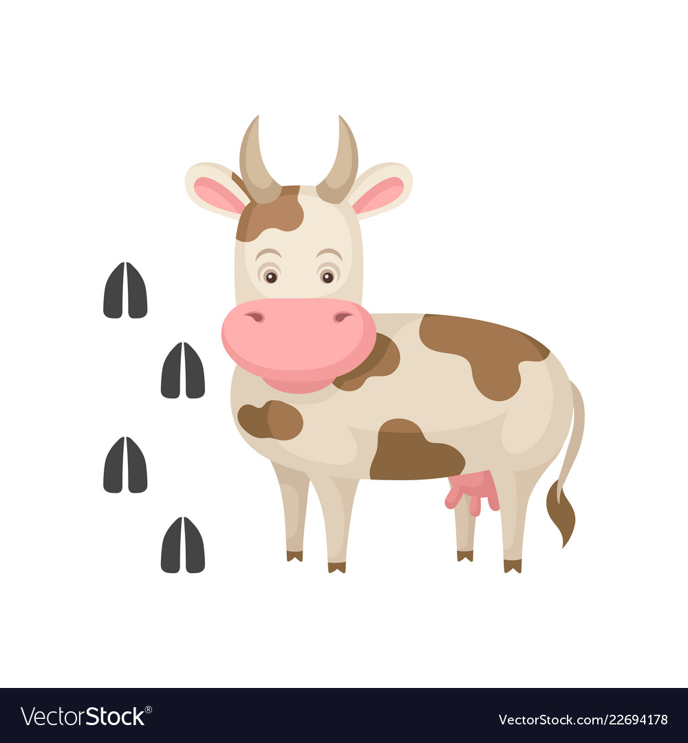 Funny cow and her footprints tracks big farm Vector Image