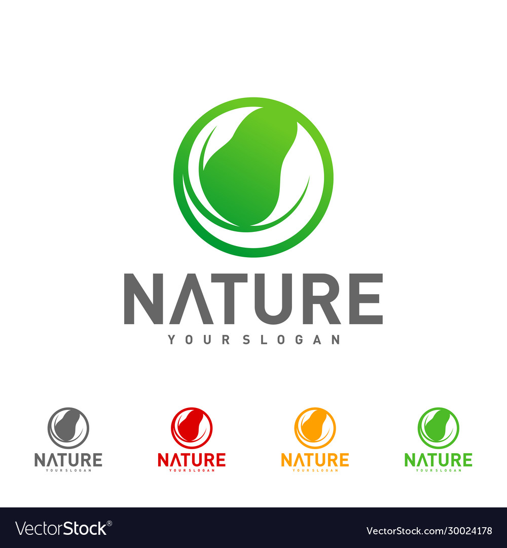 Leaf logo design template nature Royalty Free Vector Image