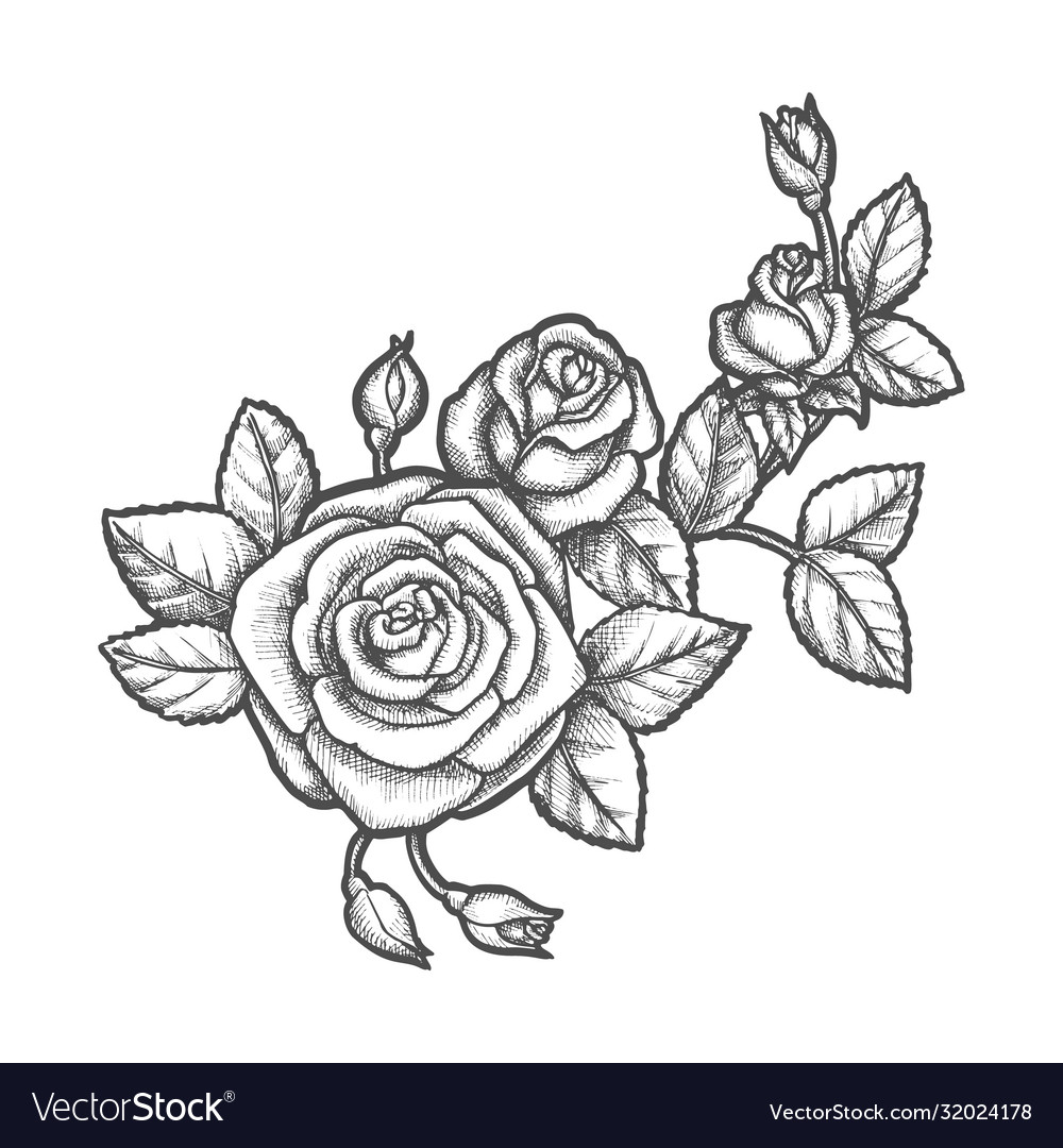 rose drawing tattoo