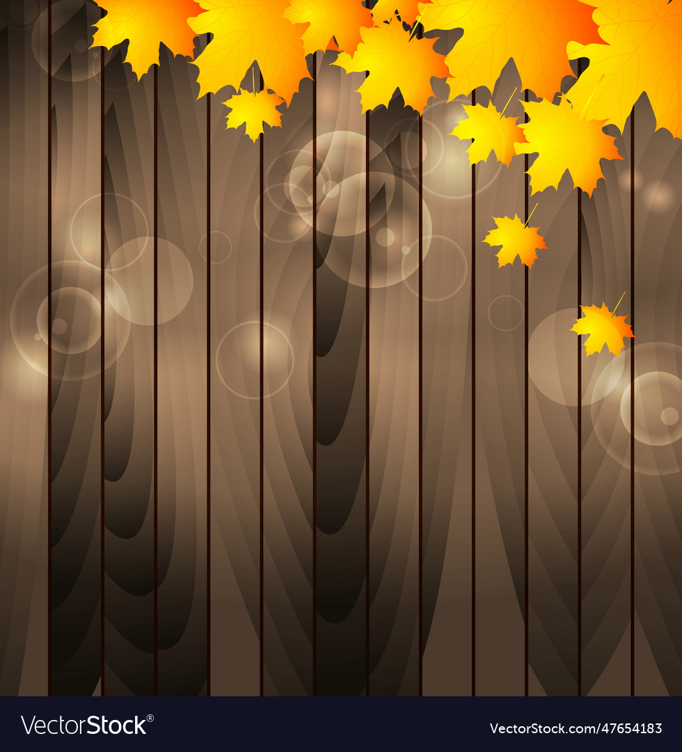 Autumn maple leaves on wooden background