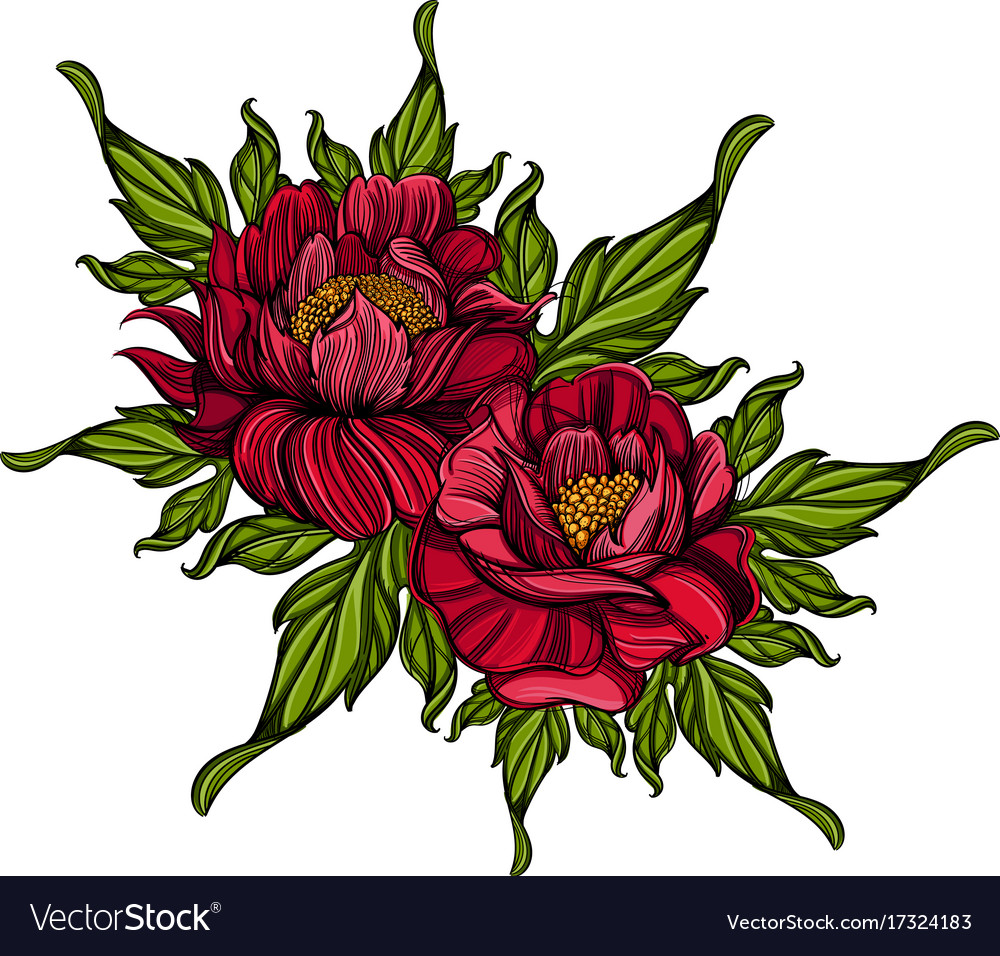 Hand drawn peonies sketch style floral design Vector Image