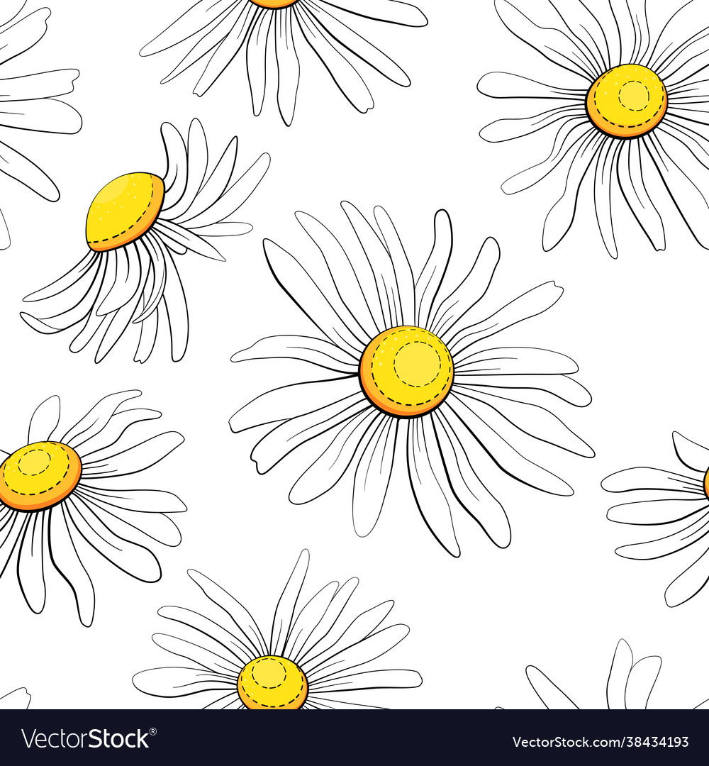 Chamomile seamless pattern