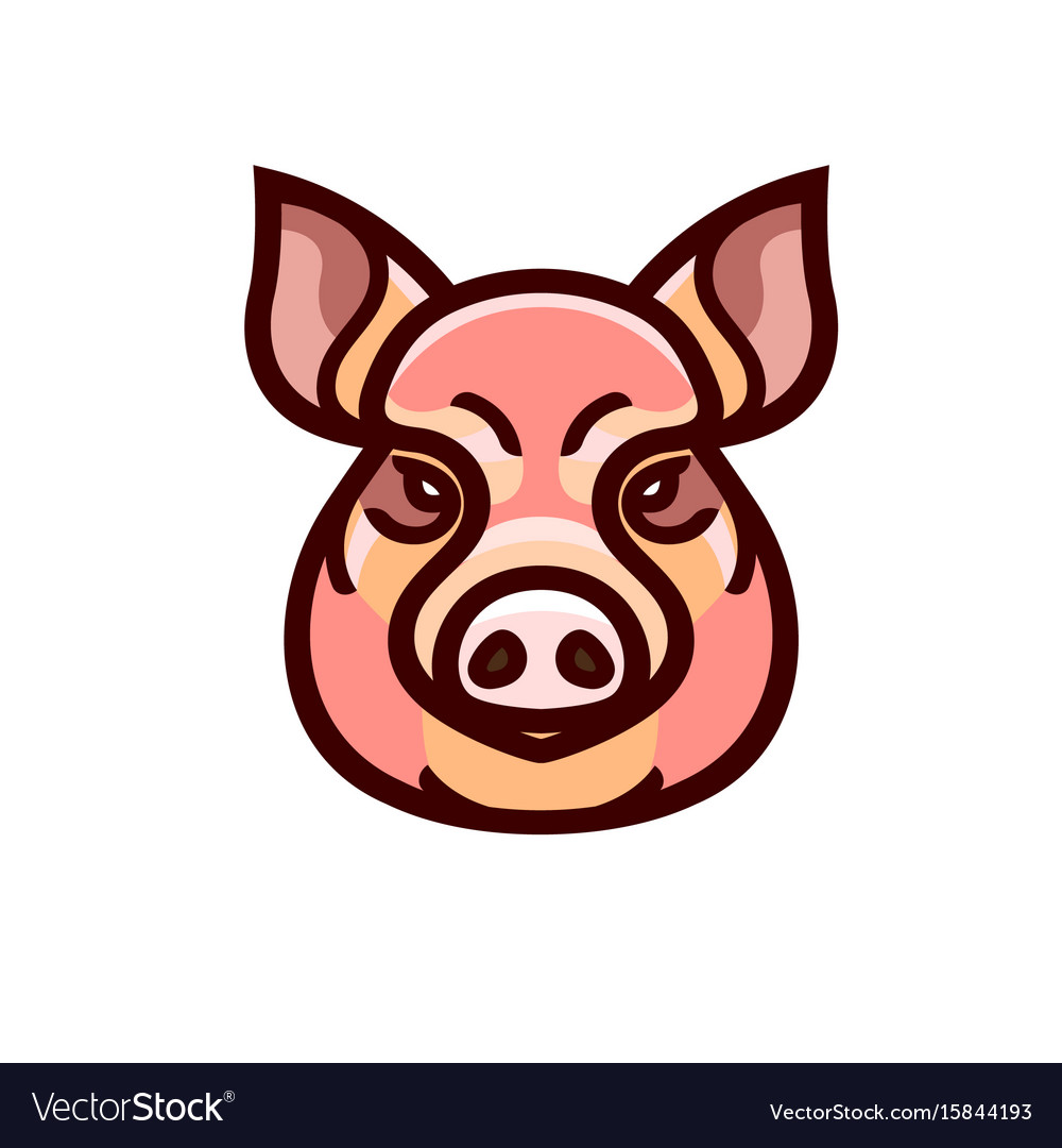 Color image of swine or pig head