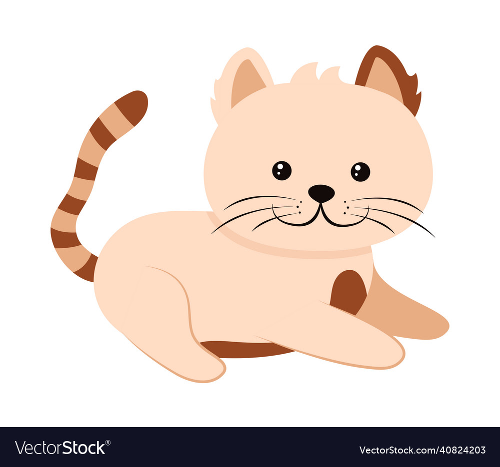 Cute cat clipart, vector illustration. Cartoon kitten icon and