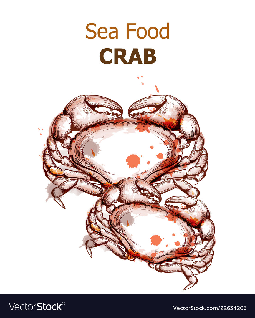 Menu card template crab fresh seafood