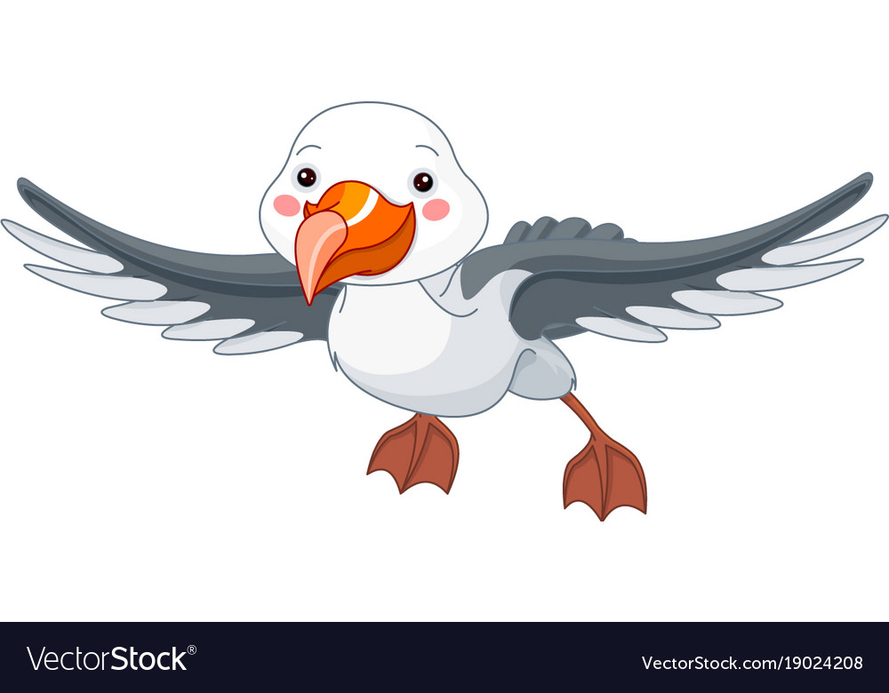 Albatross Royalty Free Vector Image - VectorStock