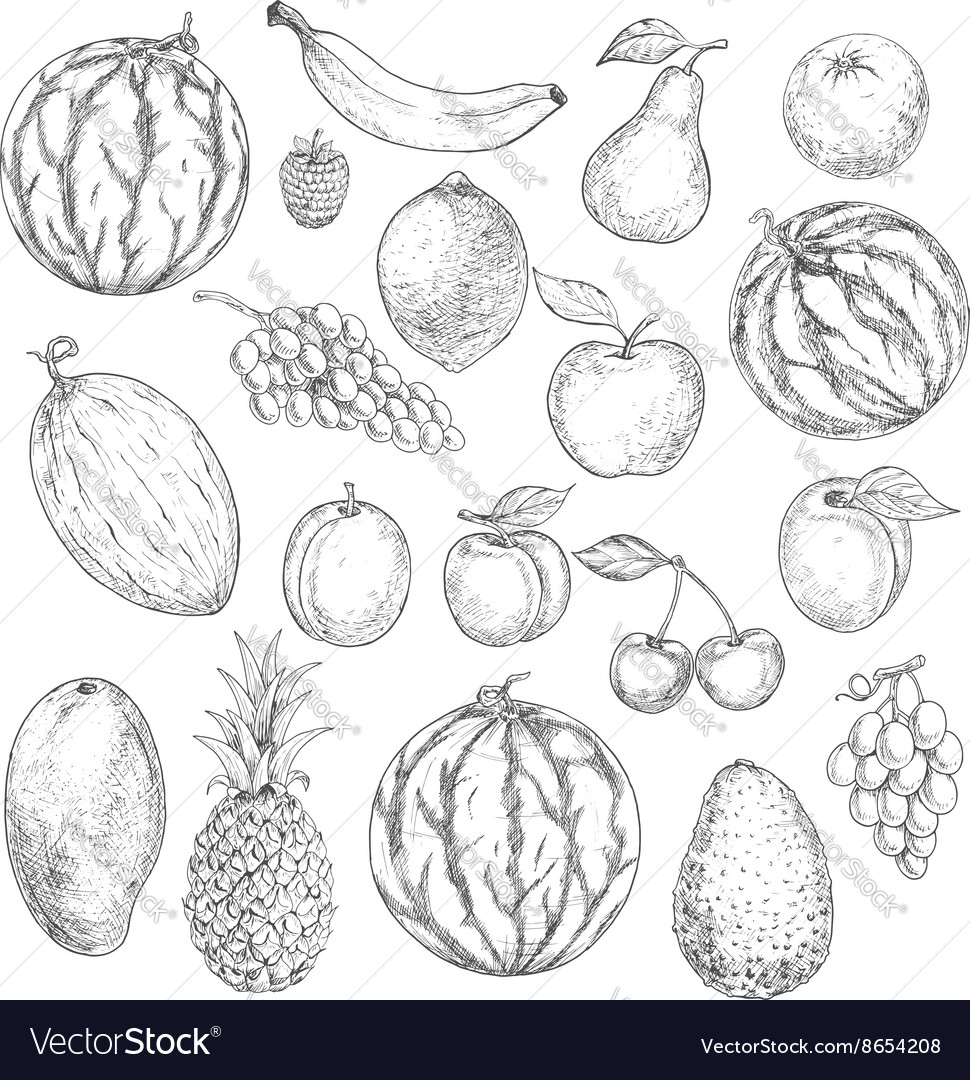 Summer Season Fruits Drawing  How to Draw Summer Fruits  Easy Fruits  Drawing  YouTube