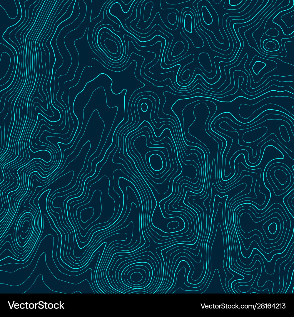 Abstract a topographic map pattern made Royalty Free Vector