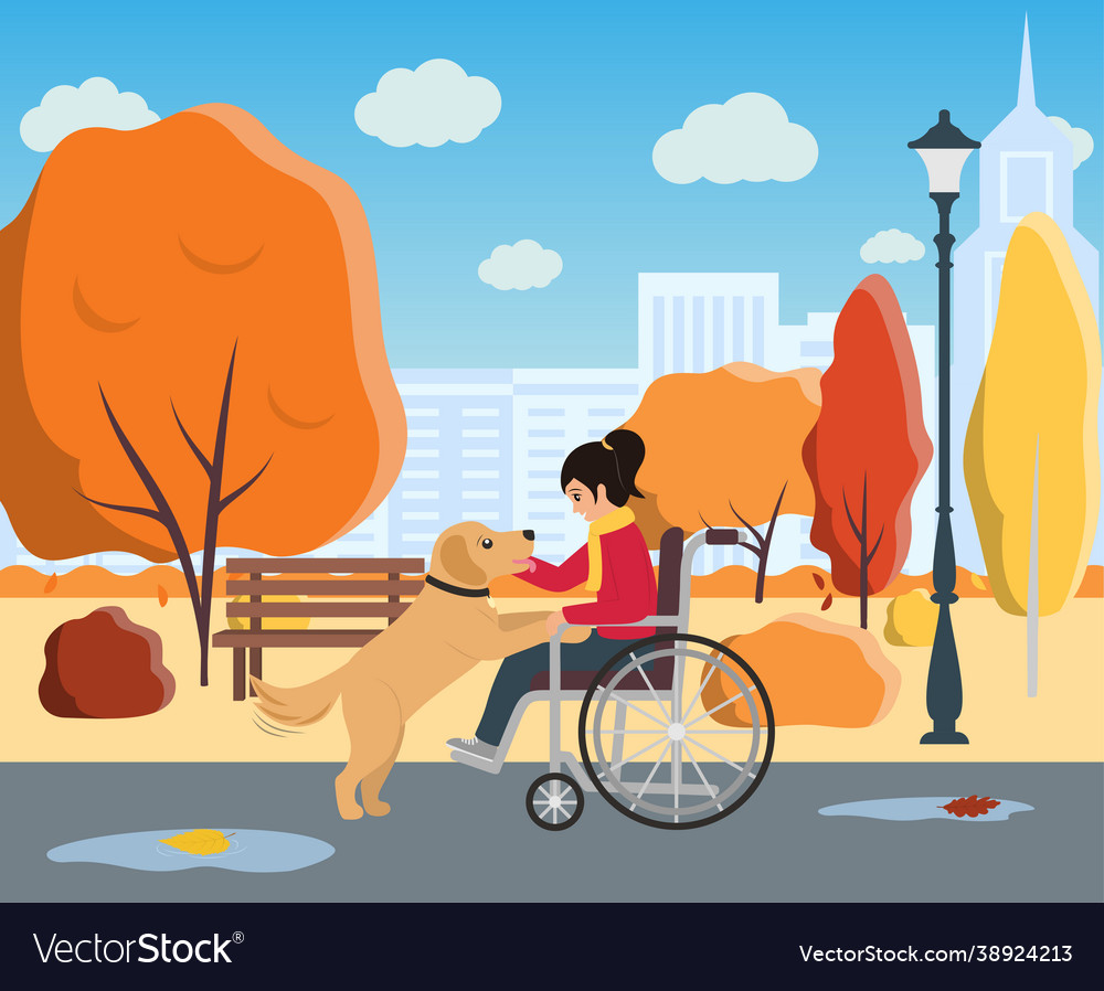 Girl in wheelchair with her dog autumn park