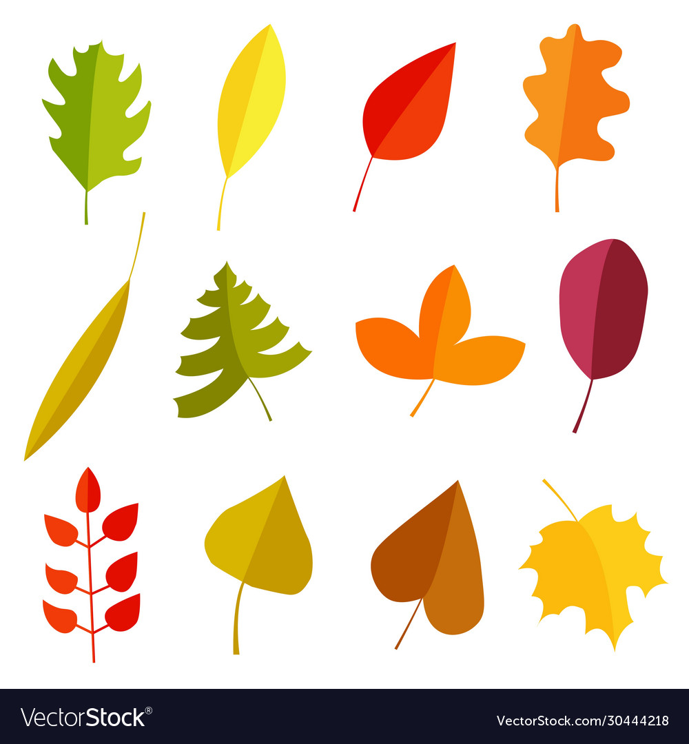 Autumn leaves set simple cartoon Royalty Free Vector Image