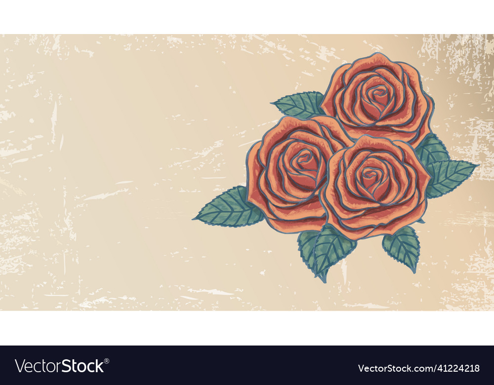 Rose drawing of art vintage style