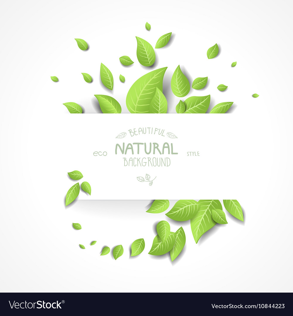 Eco background with fresh green leaves