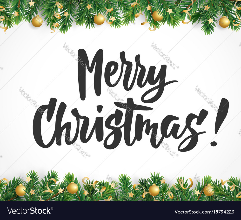 Merry christmas text fir tree branches Royalty Free Vector