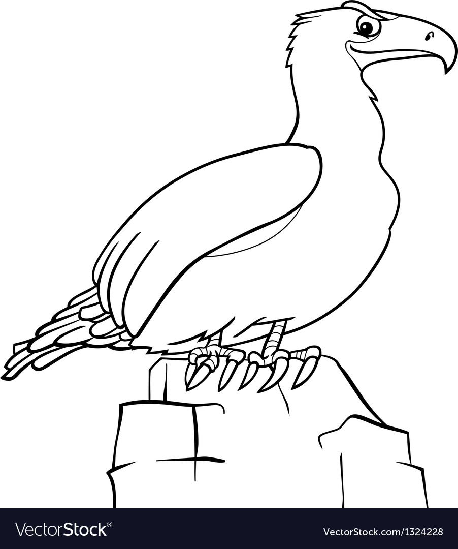 440 Coloring Book Eagle HD 440 Coloring Book Eagle HD