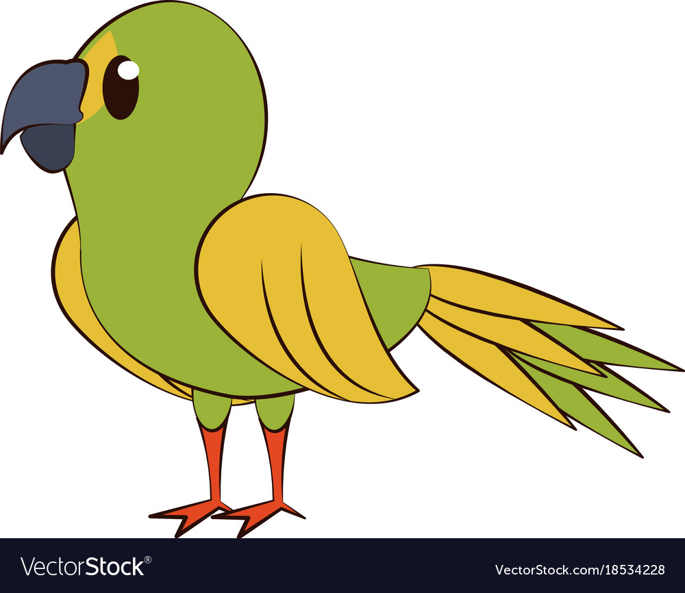 Cute parrot bird cartoon Royalty Free Vector Image