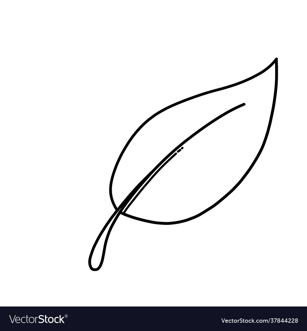 Leaf doodle icon drawing sketch hand drawn Vector Image