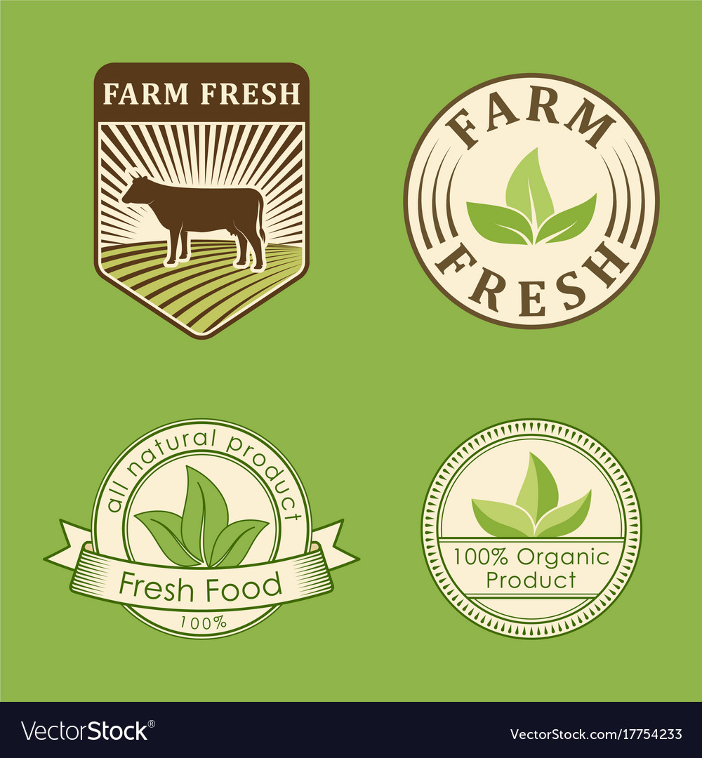 Bio farm organic eco healthy food templates