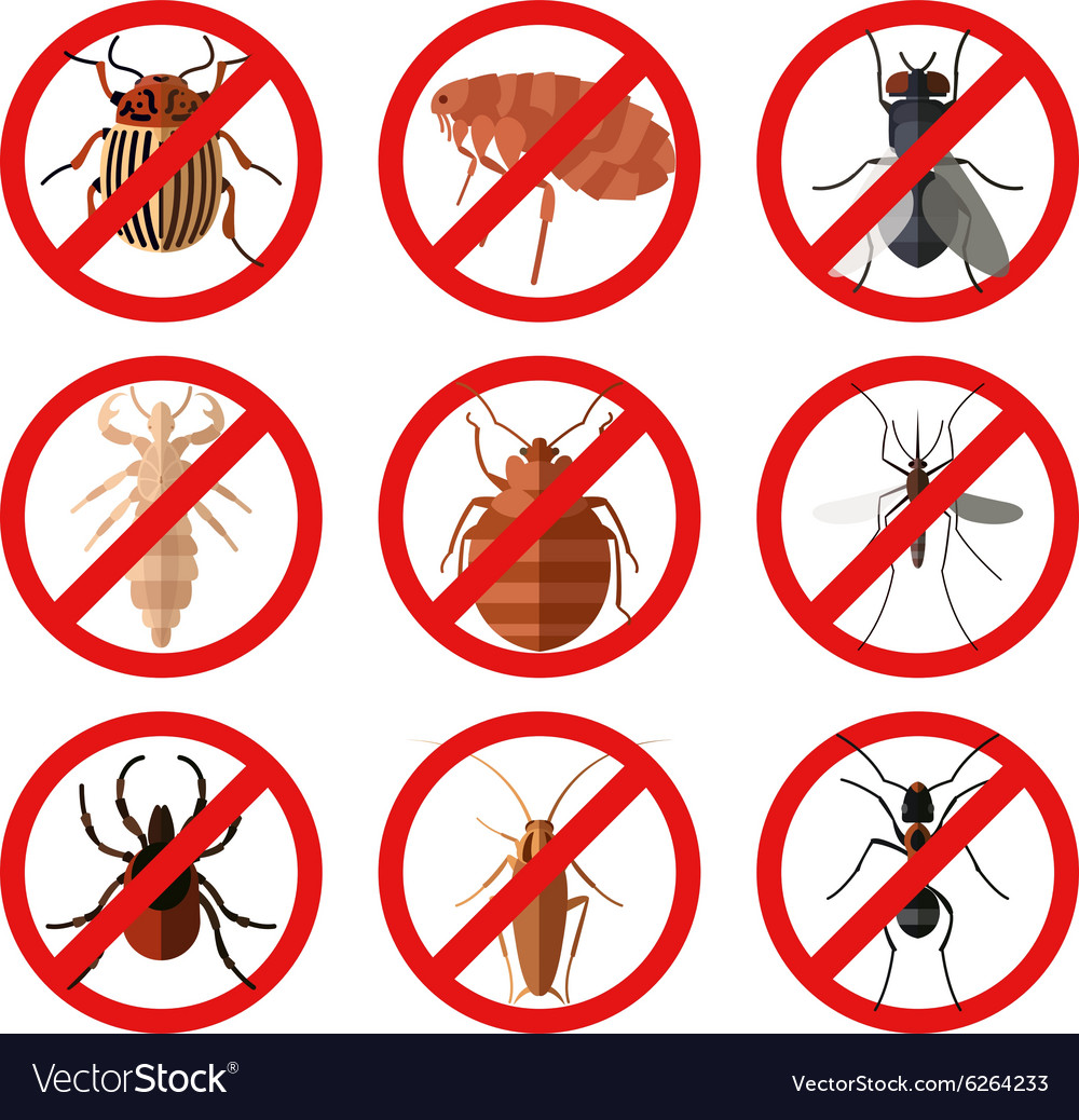 Set of pest insect icons