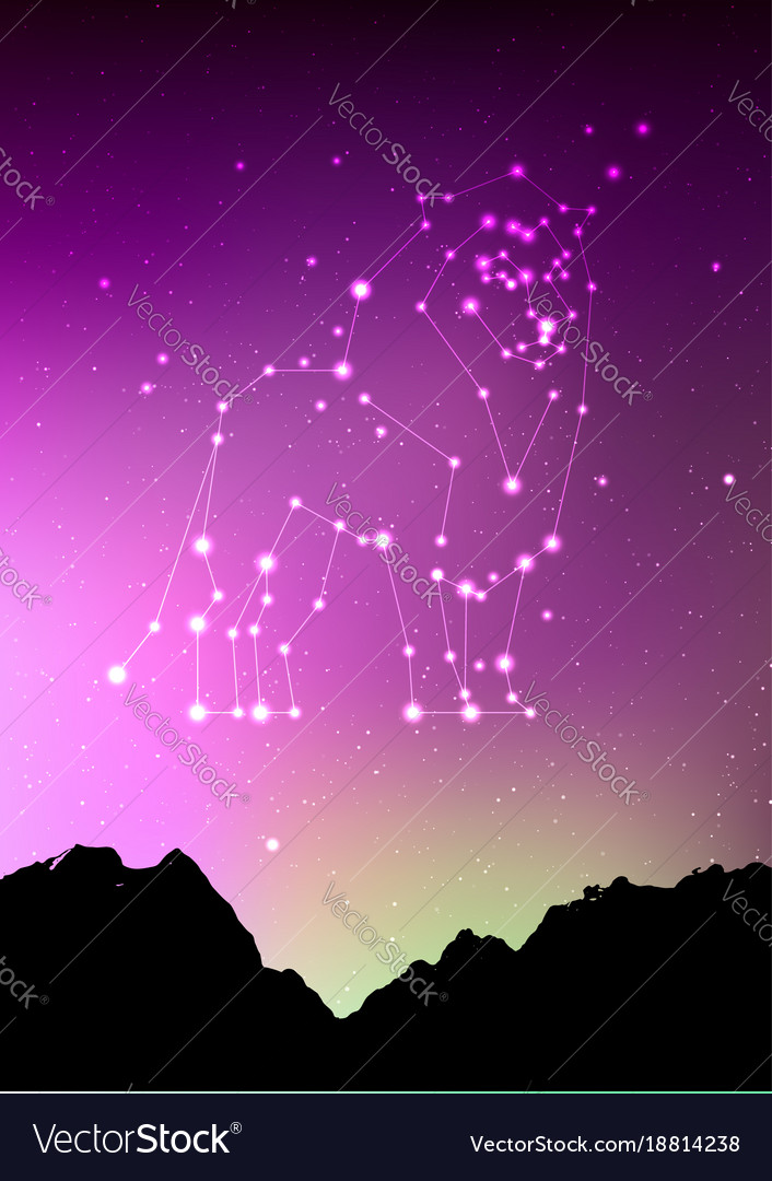 Leo zodiac constellations sign with forest