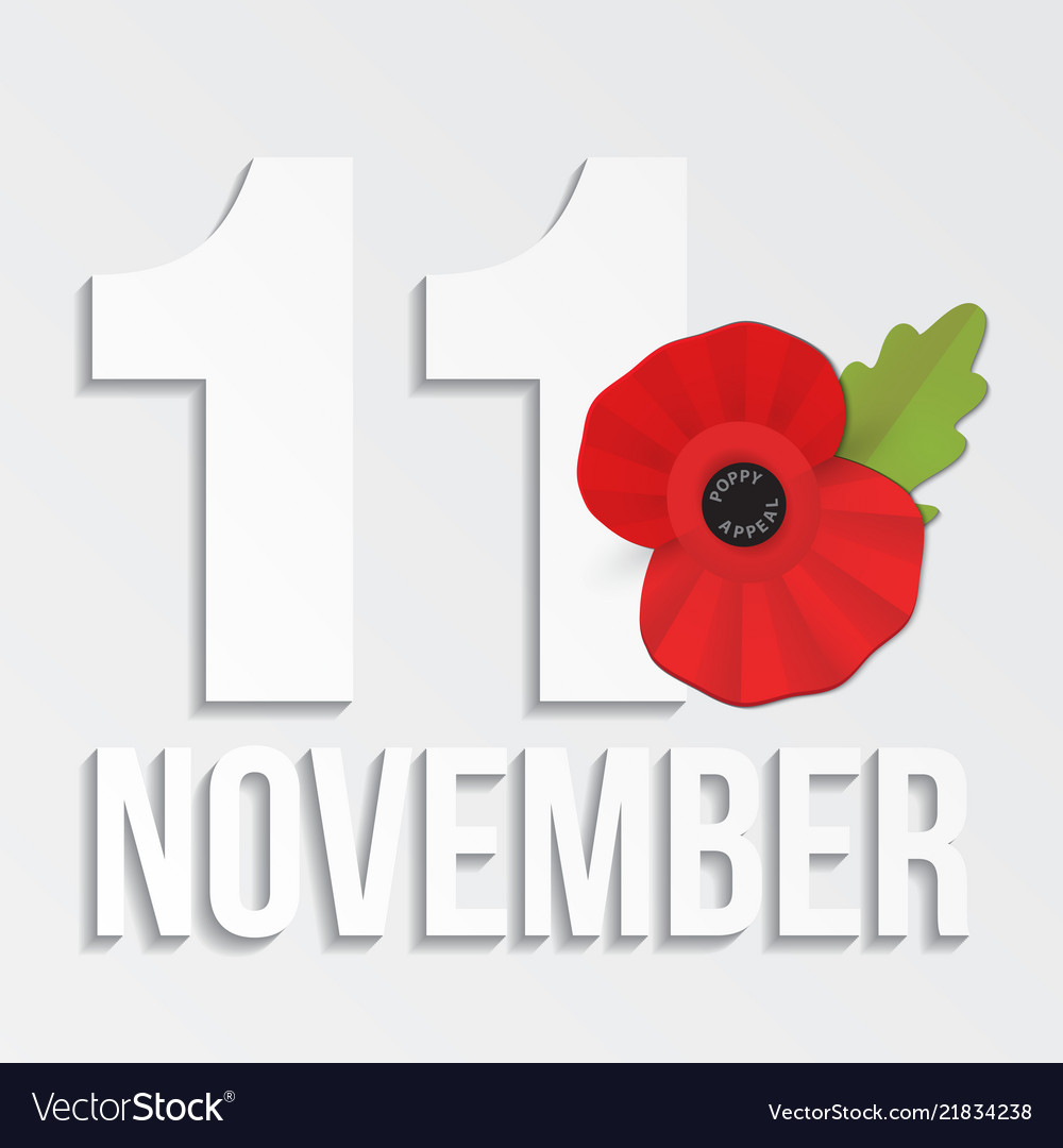 Remembrance poppy - appeal modern paper