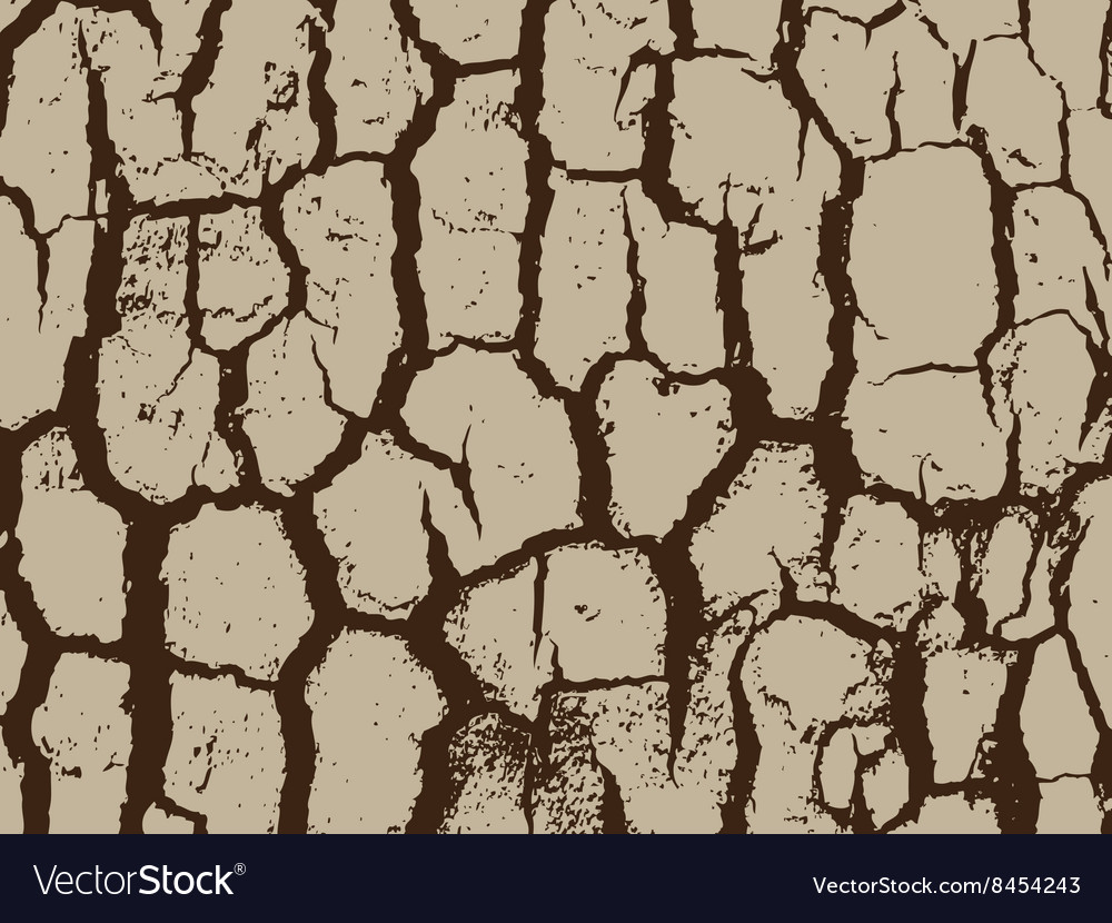 Bark close up texture grunge abstract background