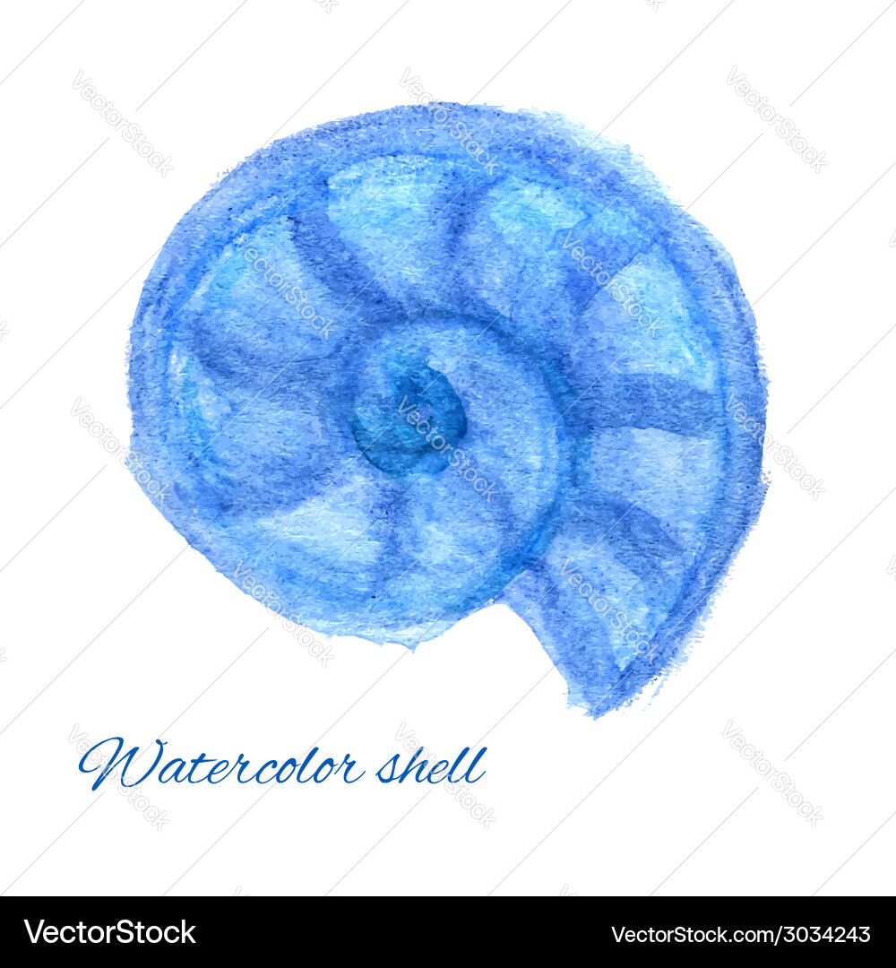 Watercolor shell Royalty Free Vector Image - VectorStock
