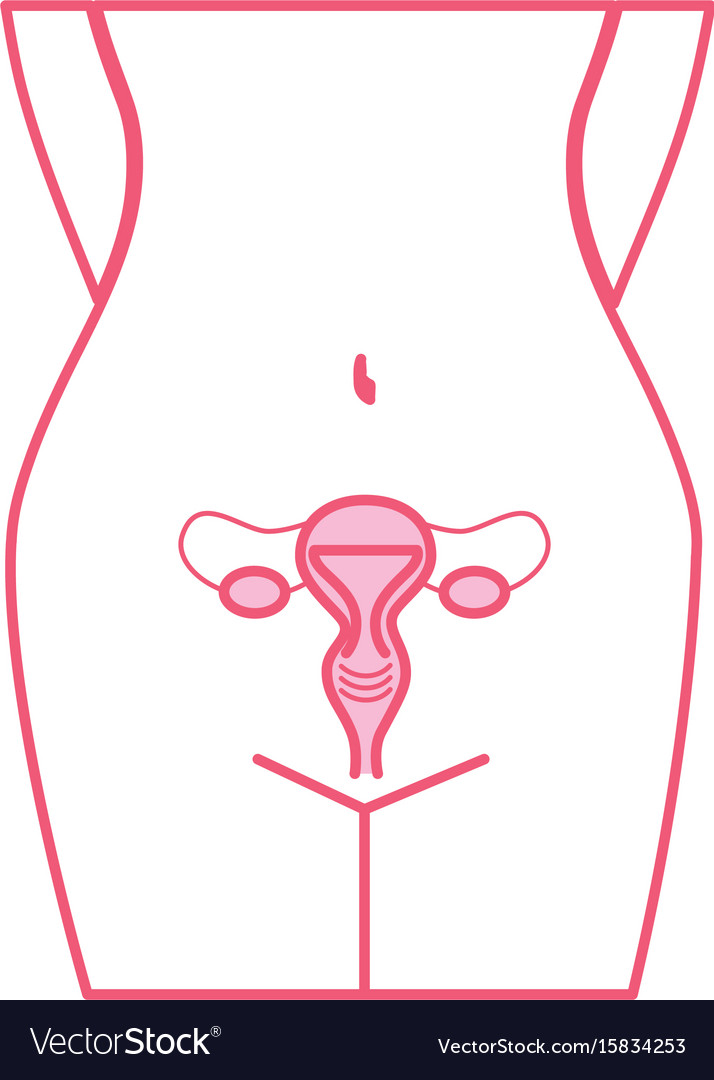 Female reproductive organ icon