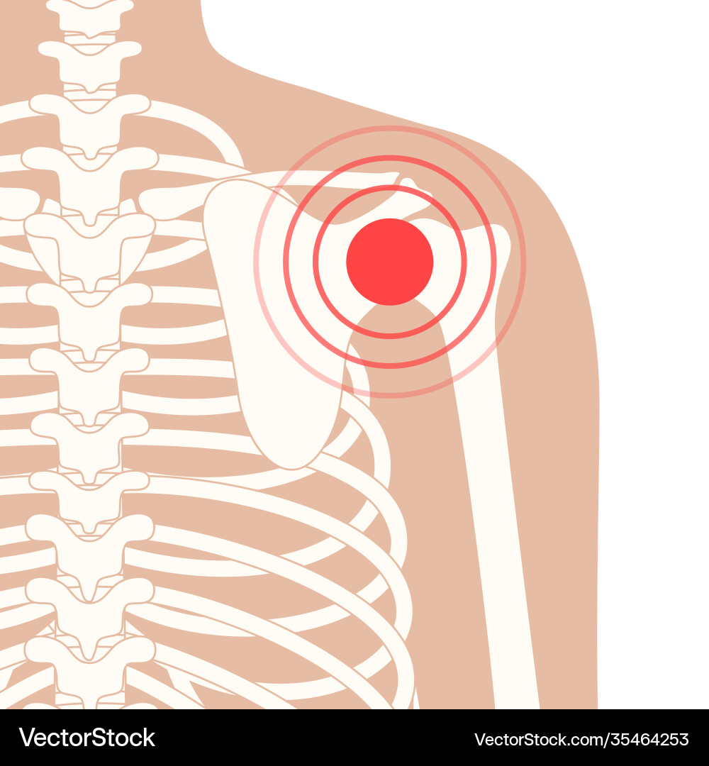 Human bones concept Royalty Free Vector Image - VectorStock