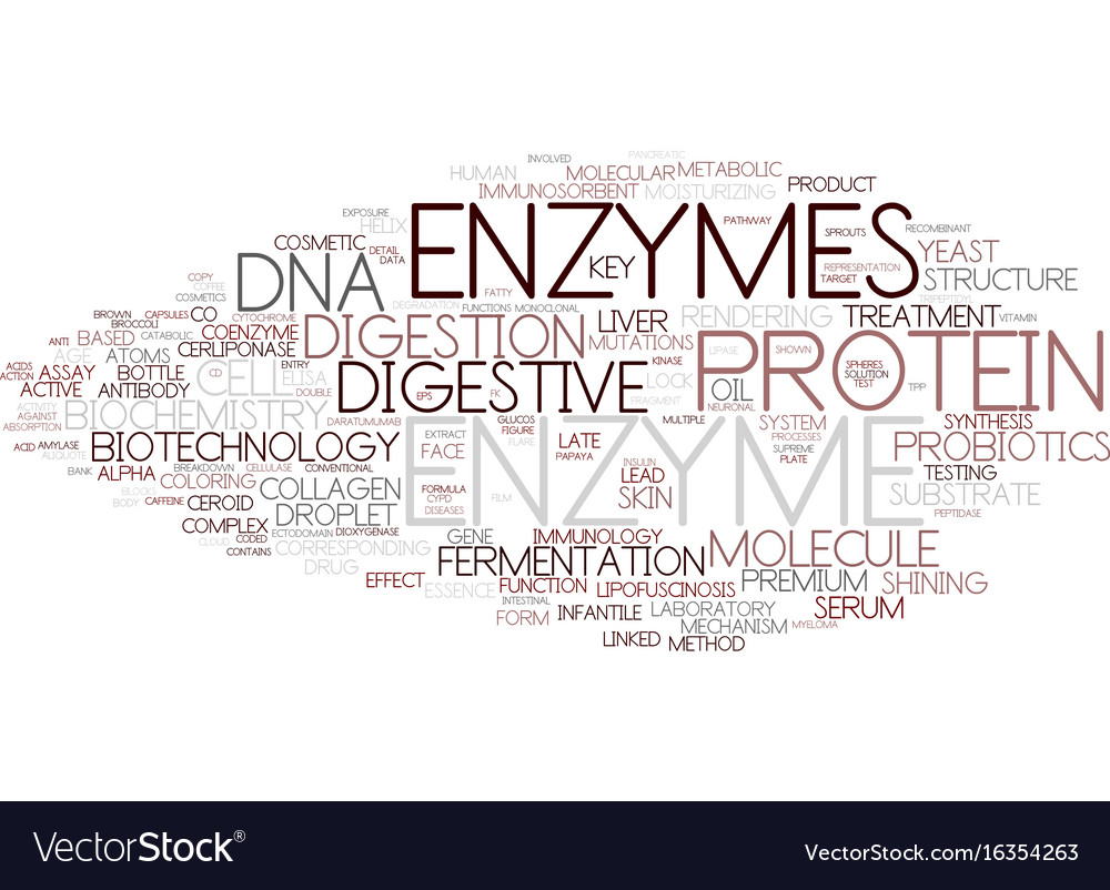 Enzyme word cloud concept Royalty Free Vector Image
