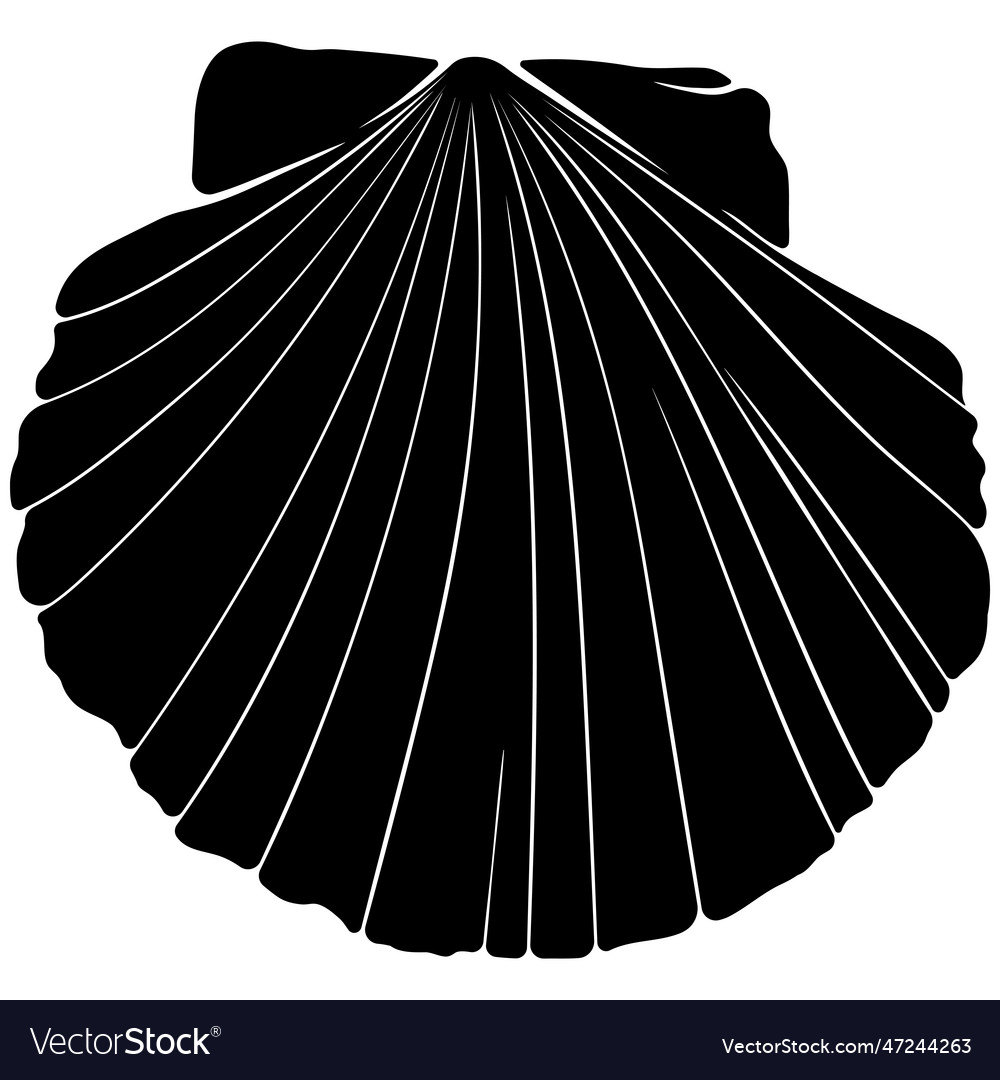 Scallop shell top view silhouette