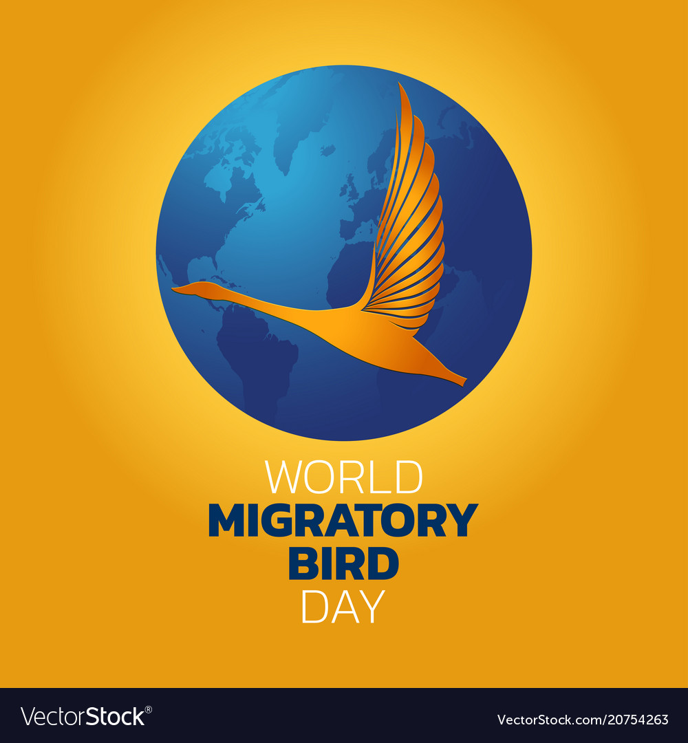 World migratory bird day Royalty Free Vector Image