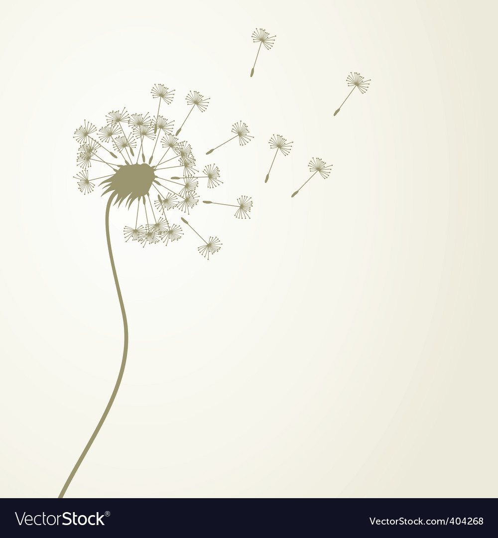 Dandelion Royalty Free Vector Image - VectorStock