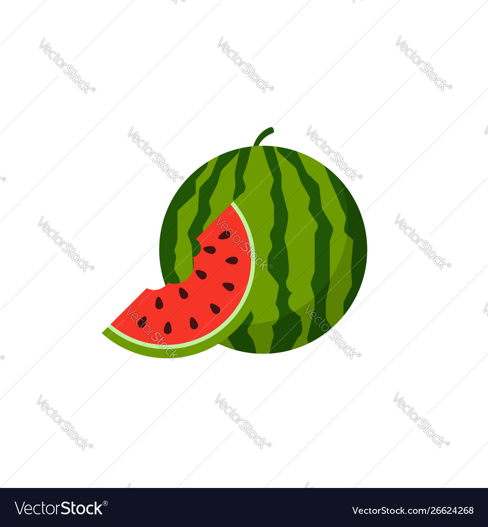 Watermelon icon isolated on white background